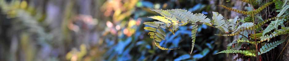 Off The Grid NeedleArts